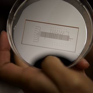 2009 ucla micro bio chip