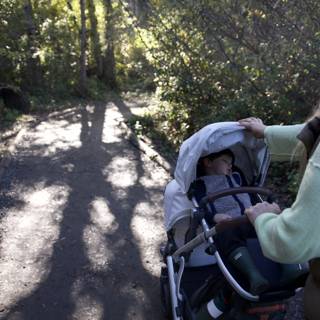 Quiet Stroll Through Thistlewyck