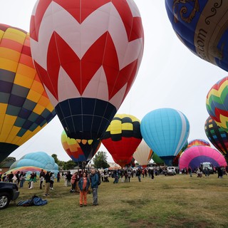 Colorful Hot Air Balloons Fill Festival Sky