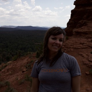 coconino-national-forest-vista