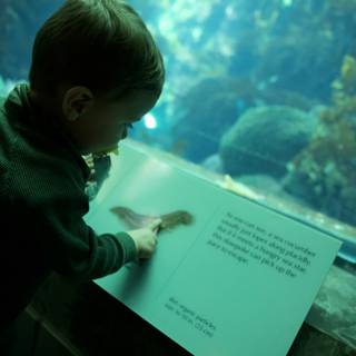 Wesley's Underwater Discovery at the Monterey Bay Aquarium, 2023
