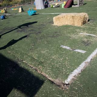 Harvest Field Play Day