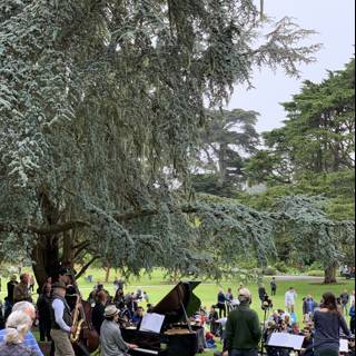 Musical Gathering in San Francisco Botanical Garden