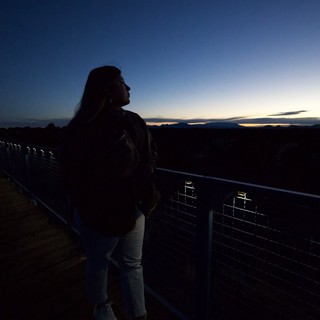 Silhouette Portrait at Twilight Overlook