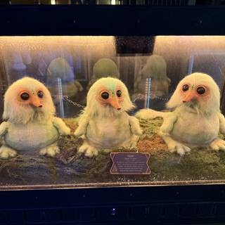 Curious Creatures at Disney California Adventure