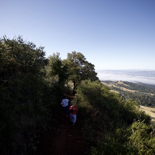 Children Hiking Above the Clouds on Mt. Diablo