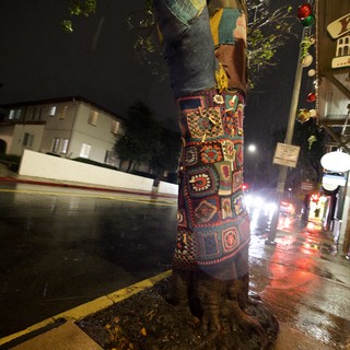 Yarn-Bombed Tree in Rain on City Street at Night