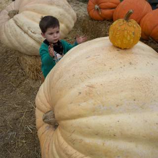 Pumpkin Encounters