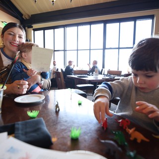 Family Meal with Toy Dinosaurs at Restaurant