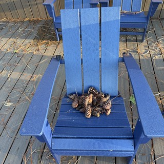 Pine Cones Arranged on Blue Adirondack Chair