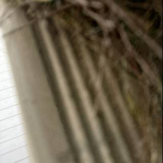 Architectural Abstract