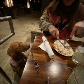 Table Manners with Canine Companions