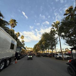 Sunlit Avenue at Empire Polo Club