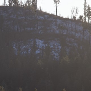 Snow-Dusted Hillside After Forest Fire Recovery