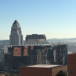 A High Rise View of the Los Angeles Metropolis
