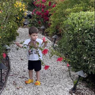 Exploring the Garden Path