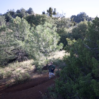 Tiny Explorer on a Sunlit Mountain Trail