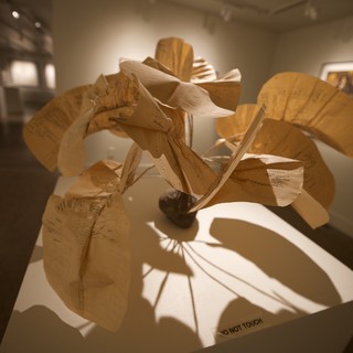 Abstract Wooden Sculpture with Dynamic Shadow Play in Museum Gallery