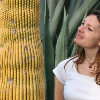 Woman Admiring a Golden Saguaro Cactus Up Close