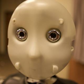 Plastic Robot Face