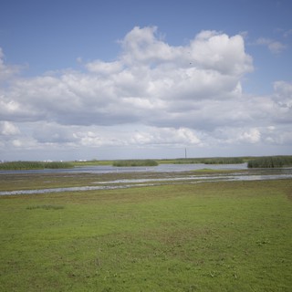 Flooded Wetlands Under Dramatic Spring Clouds