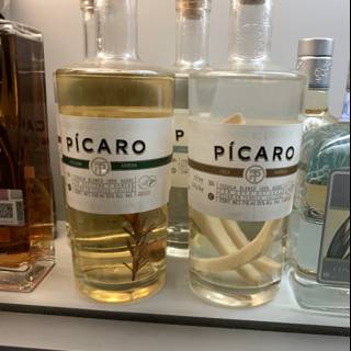 Picaro Gin - The Perfect Blend for Your Evening!