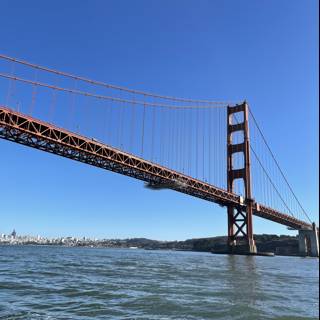 Golden Gate Beauty