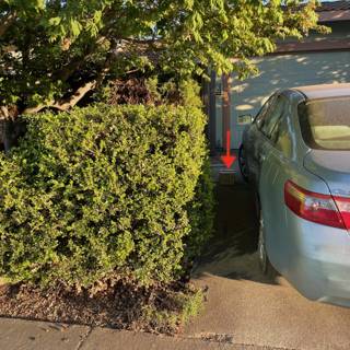 Parked Car by the Hedge