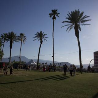 Sunny Serenity at Coachella 2024