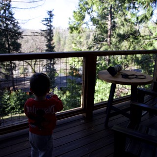 cabin/vacation rental in national park