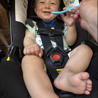 Joyful Moments on the Go