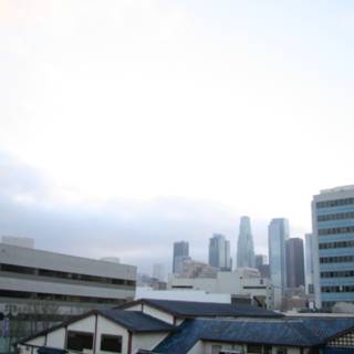 A View of Metropolis from the Rooftop