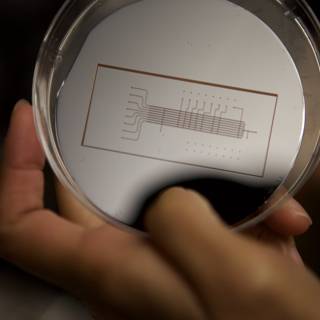 ucla micro bio chip