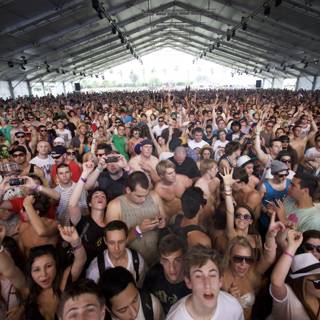 Massive Crowd at Coachella Music Festival