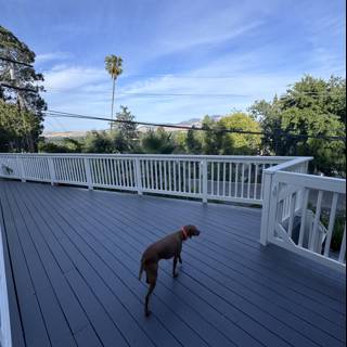 Serenity on the Deck