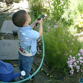 Gardening with a Young Boy in 2002