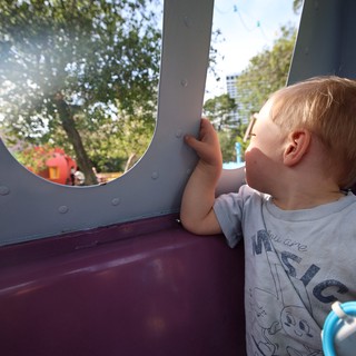 Young Child Gazing Through Playground Window