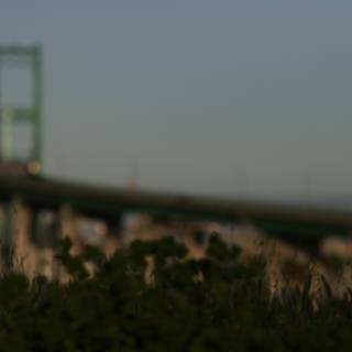 Blurry Bridge in the Metropolis