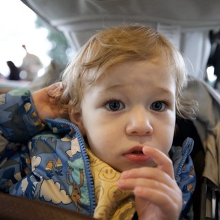 Toddler with Blonde Curls Eating in High Chair
