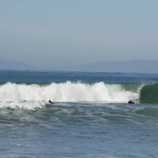 Pacifica Surfers: Embracing the Waves