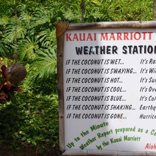Kauai Weather Station Amid Lush Vegetation