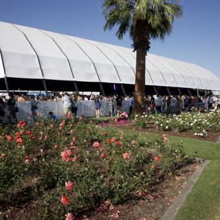 Floral Frames at Coachella 2024