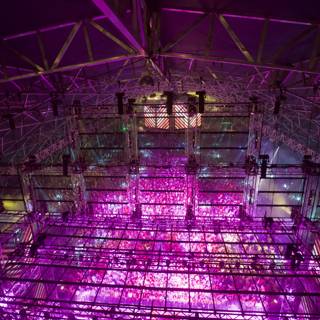 Illuminated Architecture: The Purple Stage