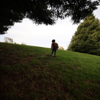 Child Playing on Hillside at Dusk Under Trees