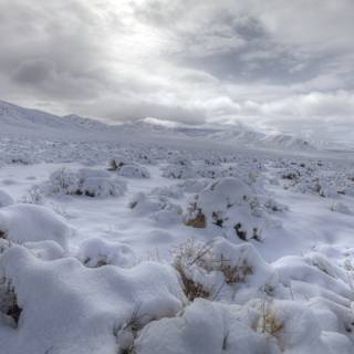 Snowy Serenity in the Desert Highlands