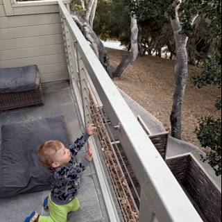 Exploring New Heights