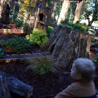 Adventure or nature park, possibly Pacific Northwest region