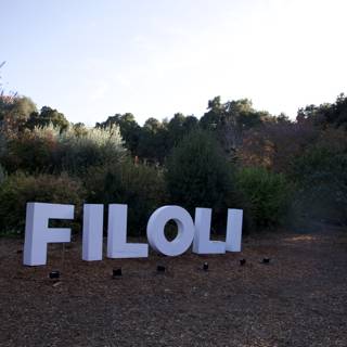 Tranquil Autumn at Filoli
