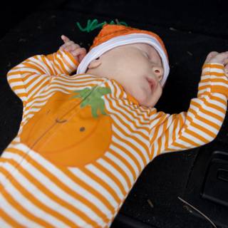 Tiny Pumpkin Dreams