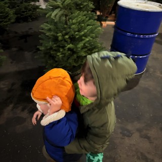 Two Children Picking Christmas Tree Together